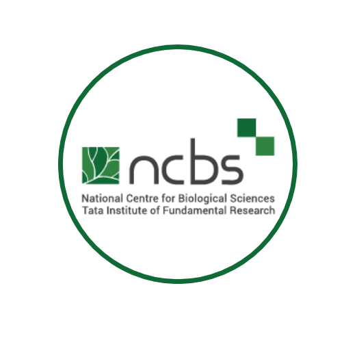 Ncbs recruitment 2024 apply for vacancies